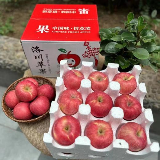 【9斤更值！陕西洛川苹果】原产地直供苹果之乡，素以色/香/味俱佳著称，人工精心栽培，天然无污染种植，新鲜孕妇水果，国产红马果应季红富士苹果L 商品图1