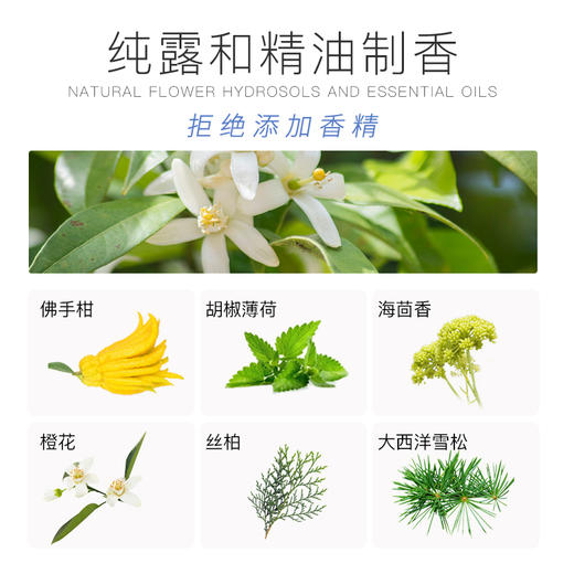 【分销】洄·海盐深藻沐浴露 | 30ml/500ml 纯露精油调香 敏感肌适用 商品图4