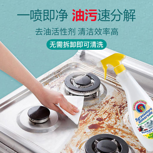 意大利进口chanteclair 大公鸡多功能油烟机厨房除去油污渍重油污净清洁剂600ml*3瓶 商品图2