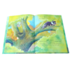 Trees Are Not Just for Birds 原版英文儿童绘本 商品缩略图4