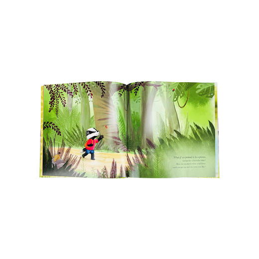 心理学系列 精装 适合5岁+逆商培养探索世界趣味故事书 商品图2