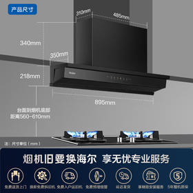 海尔抽油烟机 顶侧一体欧式超薄齐平橱柜隐形嵌 高温热熔洗 变频28风量1200Pa大静压28风量变频小巧超薄+Q2BE5燃气灶 烟机套装