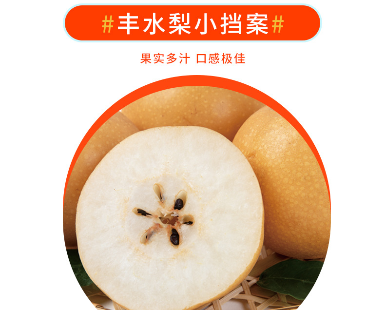 丰水梨_04.jpg