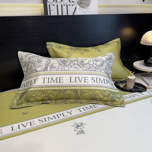 圣夫妮  冰丝凉席床单款凉席三件套-绿玉薄荷SFN-144 商品图1