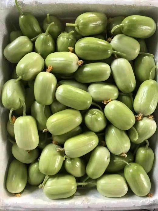 周三取货：【玉女黄瓜】一份2斤左右，小巧可爱，口感松脆爽口！ 商品图6