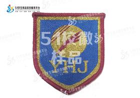 通版深圳市和平中英文学校公明中英文学校织唛校徽礼服现货现发51