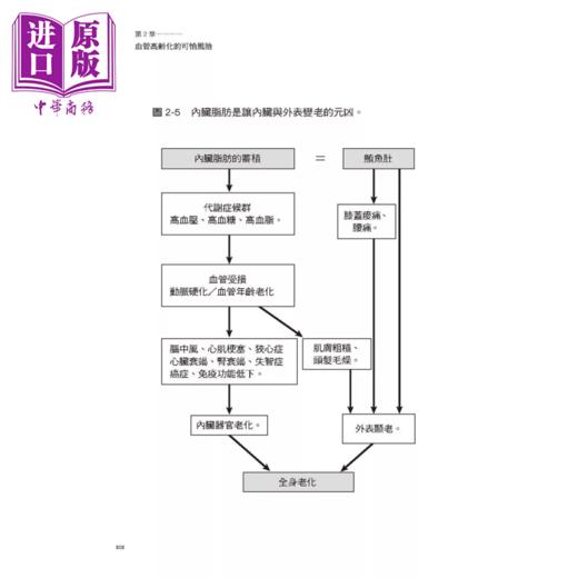 【中商原版】血管回春术 年轻20岁 你该在乎的是血管年龄  日本名医不刻意运动的血管锻练祕诀 池谷敏郎 大是文化 港台原版 商品图4