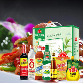 海天调味料礼盒D