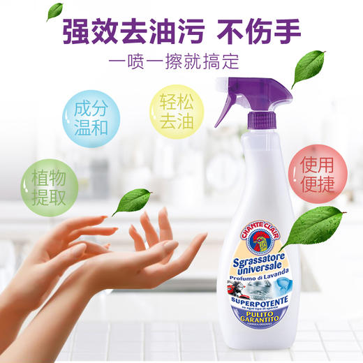 意大利进口chanteclair 大公鸡多功能油烟机厨房除去油污渍重油污净清洁剂600ml*3瓶 商品图4