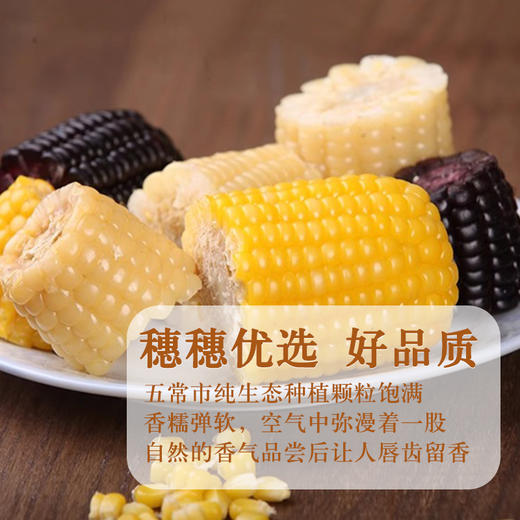 哈粮优品白糯玉米8穗装（280g x 8）1.6kg 产地发货 商品图2