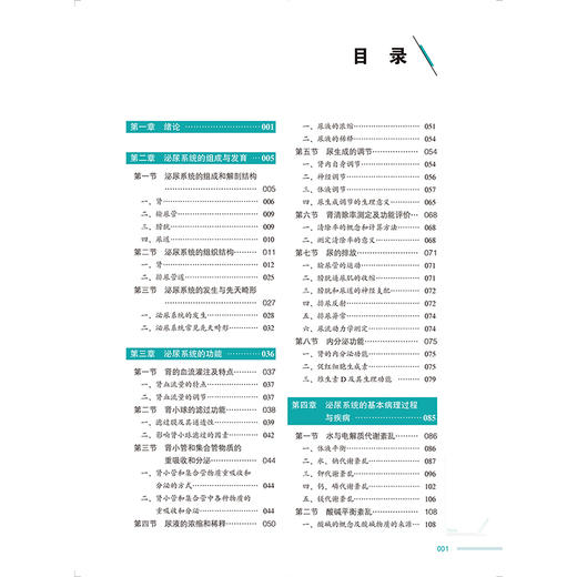 泌尿系统 教育部基础医学101计划核心教材 主编 陆利民 杨莉 泌尿系统的组成与发育 肾的血流灌注及特点北京大学医学9787565932106 商品图4