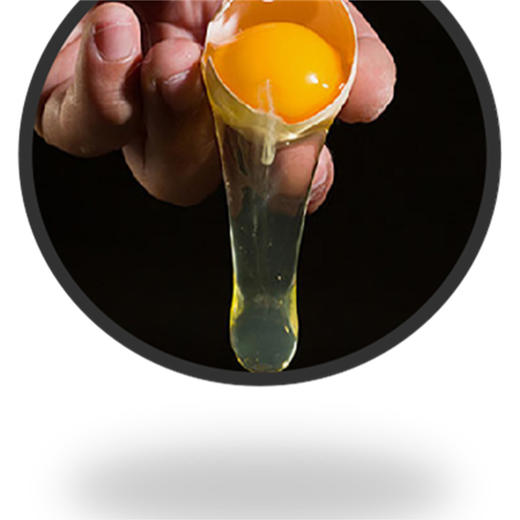 云品【森吉尼达】香格里拉藏鸡蛋25枚 商品图3