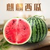 【现摘的才好吃！云南麒麟西瓜】肉质细腻脆甜，口感脆爽，满口的果香，新鲜应季沙瓤大甜瓜，非美都黑美人西瓜L 商品缩略图0