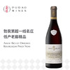 阿尔伯特·毕修酒庄起源系列黑比诺红葡萄酒Albert Bichot Origines Bourgogne Pinot Noir 商品缩略图0
