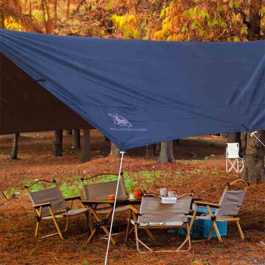 徽羚羊 户外露营休闲防雨遮阳涂银六角天幕—大号450*450 商品图2