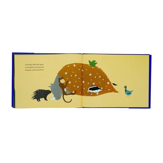 Pablo Can't Sleep  适合3岁+日常生活原版英文绘本 商品图4