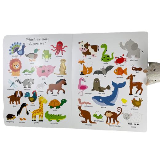 大地板书 适合3岁+语言开发探索世界有趣计数地板书英文绘本 商品图6