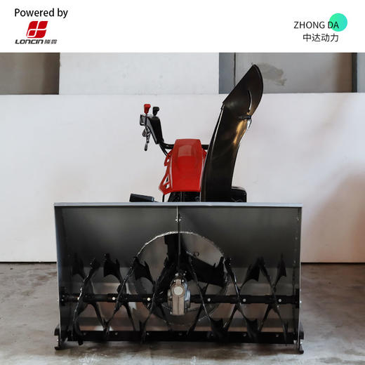 隆鑫动力 LC733-P1米 商品图2