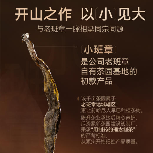 陈升号 2024年小班章357g（生茶） 商品图1