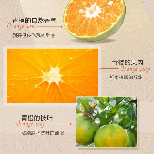 夏日青桔香 MONOTHEME若森威尼斯 柑橘之书 香柠檬佛手柑淡香水ET 100ML（效期到26年5月） 商品图2