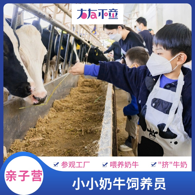 亲子营丨“奶牛饲养体验官”，等你来报名！喂养小奶牛、参观奶牛牧场，快来开启涨知识之旅！