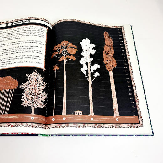  童书妈妈X浪花朵朵专场  植物：给孩子的30堂自然通识课 商品图5