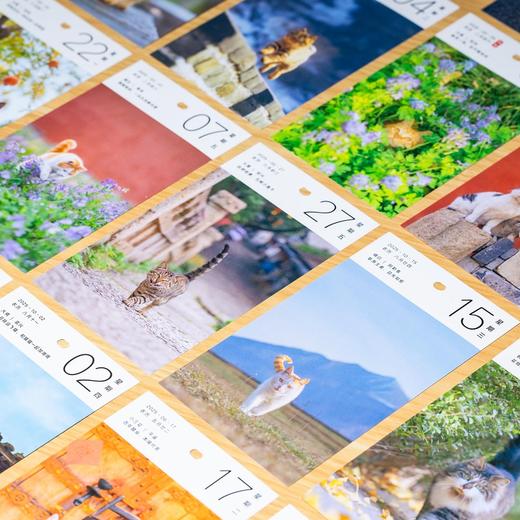 有猫可撸 喵呜不停2025日历 （签名版随机掉落） 商品图12