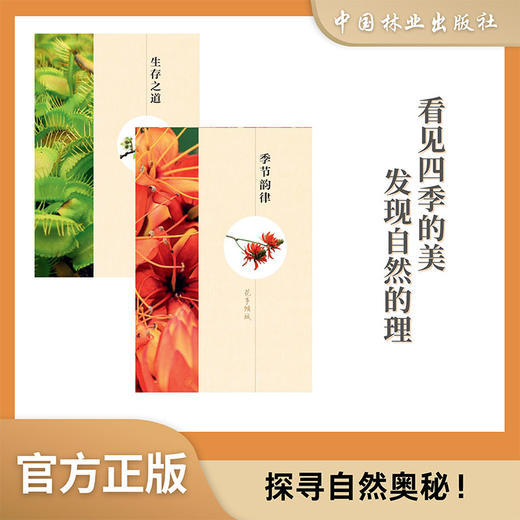 自然观察笔记 植物篇2232 商品图3