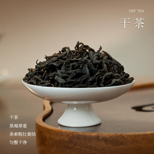 懂茶帝国非遗韦洁群老师六堡茶2009年荒野老枞六堡茶50g 商品图1