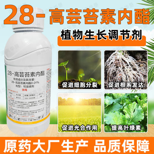 28-高芸苔素内酯小麦白菜植物生长调节剂叶面肥调节生长生根壮苗 商品图1