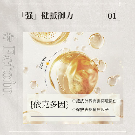 品牌直发  第十四章 依克多因平衡凝润冰晶膜 25gx5片/盒 商品图4