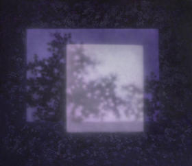 张利平《影23》原作