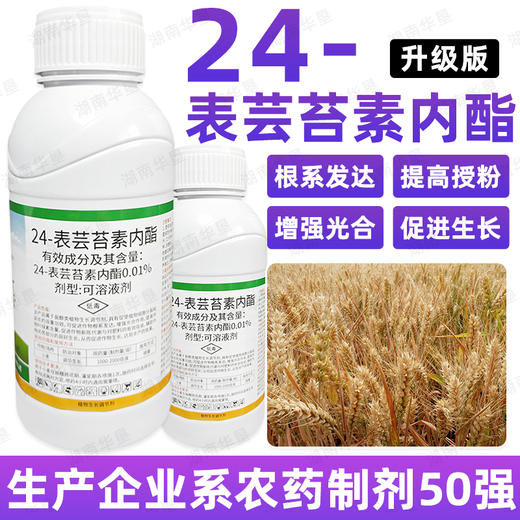 正品24表芸苔素内酯小麦大田作物丰产增收植物生根壮苗生长调节剂 商品图4