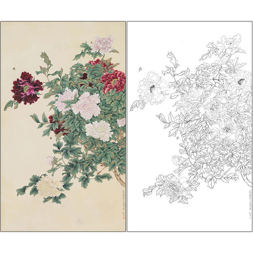 俞致贞花鸟工笔画白描底稿《牡丹》临摹勾线高清打印稿ZZ13 商品图0
