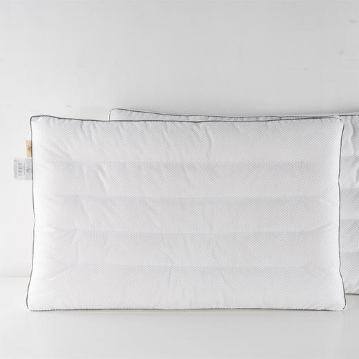 远梦风雅提花定型枕(对枕） 商品图3