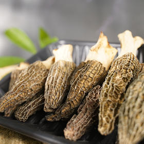 云南高山有机羊肚菌