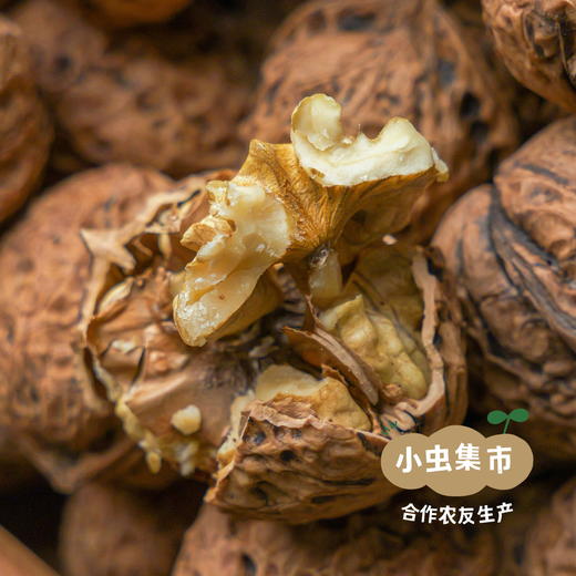 【2025年新收】生态纸皮干核桃 2斤/5斤/8斤 | 合作农友生产，产自云南永仁，生产者：康丽 *【公平贸易农人定价】 商品图1