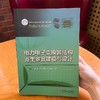 电力电子变换器结构寄生参数建模与设计 商品缩略图3