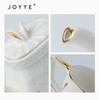 JOYYE 爱丽丝网红茶具套装家用客厅女办公室杯壶陶瓷高档轻奢礼盒 商品缩略图3