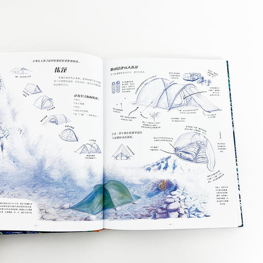  童书妈妈X浪花朵朵专场  踏入荒野：给孩子的野外生存指南 商品图3