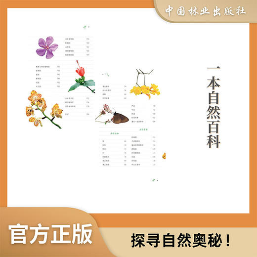 自然观察笔记 植物篇2232 商品图1
