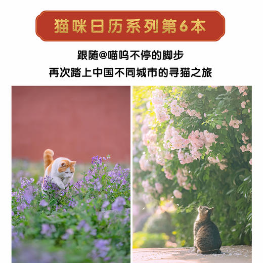 有猫可撸 喵呜不停2025日历 （签名版随机掉落） 商品图2