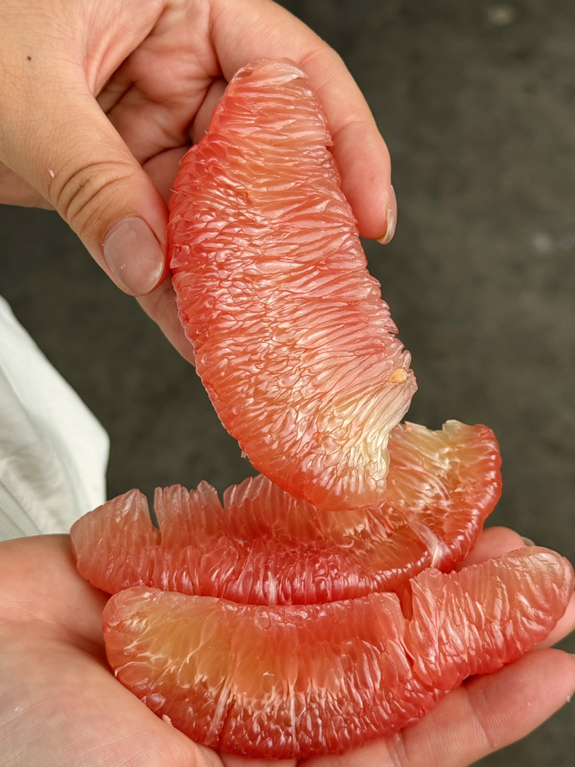 马家柚 | 地理标志产品
没有虾线的柚子😉好剥脆嫩爆汁
立冬一口柚，安康伴左右，冬来无烦忧，岁岁皆顺流！2粒，约4-4.5斤