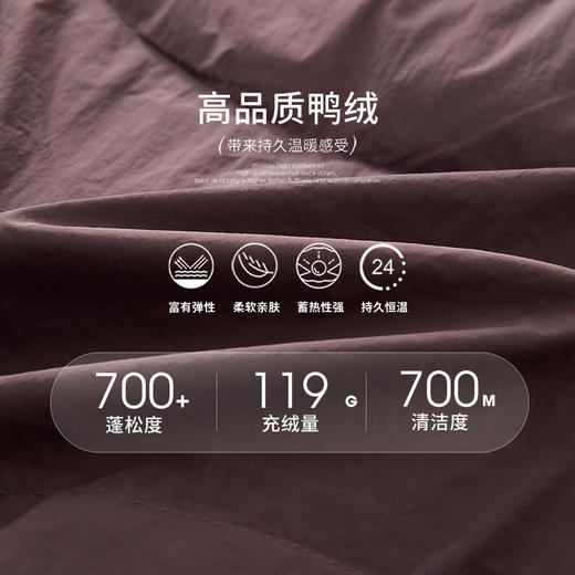 设计感飘带防风立领可拆帽女秋冬加厚保暖面包服外套V0043420 商品图4