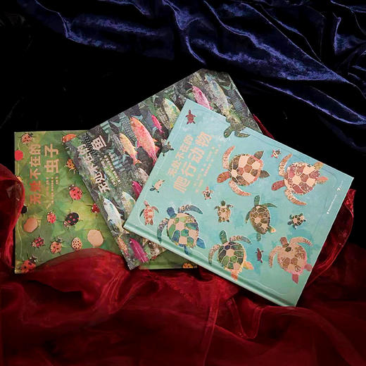 童书妈妈X浪花朵朵专场  无处不在系列 三册套装（鱼+虫子+爬行动物） 商品图2