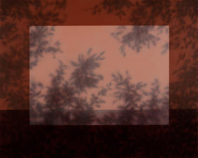 张利平《影46》原作