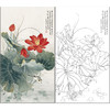 俞致贞花鸟工笔画白描底稿《荷花翠鸟》临摹勾线高清打印稿ZZ25 商品缩略图0