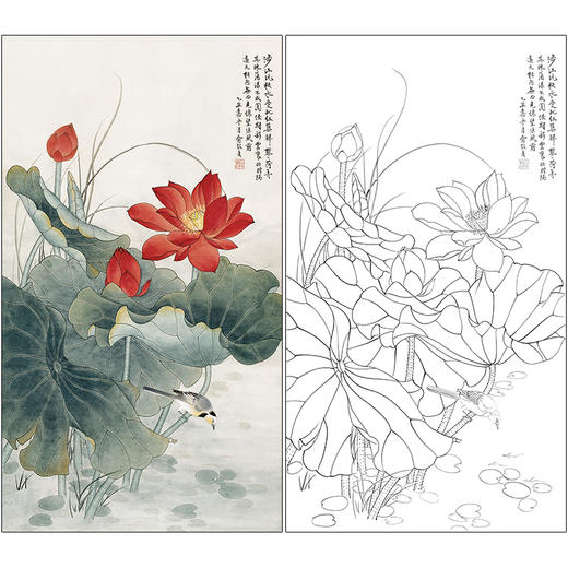 俞致贞花鸟工笔画白描底稿《荷花翠鸟》临摹勾线高清打印稿ZZ25 商品图0