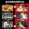 鹦鹉主粮500g/袋混合五谷亚麻籽 鸟类主食饲料批发 商品缩略图3