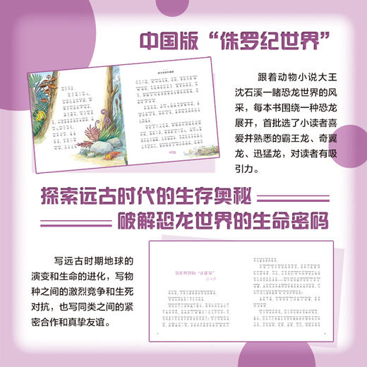 飞天奇翼龙 沈石溪 李花三吉/著  安徽少年儿童出版社 商品图2